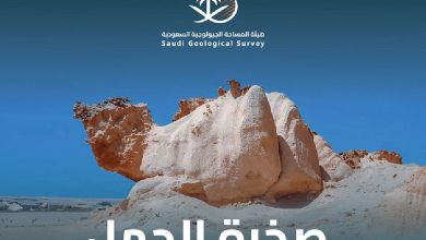 صورة صخرة الجمل في جنوب مدينة الوجه بتبوك.. معلم جيولوجي مميز