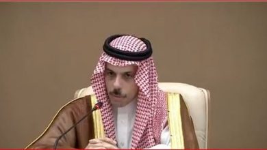 صورة وزير الخارجية: سعدنا بوقف إطلاق النار بين الهند وباكستان