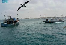 صورة حرس الحدود بمكة المكرمة ينقذ 10 مقيمين مصريين بعد جنوح واسطتهم البحرية