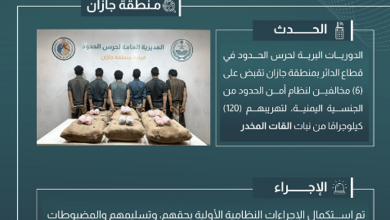 صورة القبض على 6 مخالفين لتهريبهم 120 كيلوجرامًا من القات في جازان