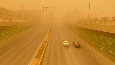 صورة طقس المملكة الأربعاء.. عوالق ترابية وغبار على عدة مناطق واستمرار ارتفاع درجات الحرارة