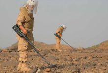صورة “مسام” ينتزع 1.095 لغمًا في اليمن خلال أسبوع