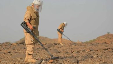 صورة “مسام” ينتزع 1.095 لغمًا في اليمن خلال أسبوع