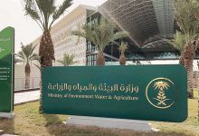 صورة ضبط أطنان من البطاطس الفاسدة في محافظة القريات