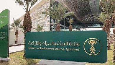 صورة ضبط أطنان من البطاطس الفاسدة في محافظة القريات