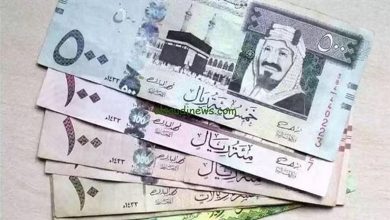 صورة سعر الريال مقابل الجنيه المصري والعملات العربية اليوم الخميس 24111446