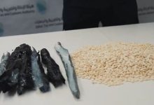 صورة إحباط 5 محاولات لتهريب أكثر من 240 ألف حبة من مادة «الإمفيتامين» مُخبأة في شاحنات