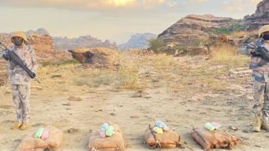 صورة القبض على 3 مخالفين لتهريبهم 40 كيلوجرامًا من نبات القات بمنطقة جازان