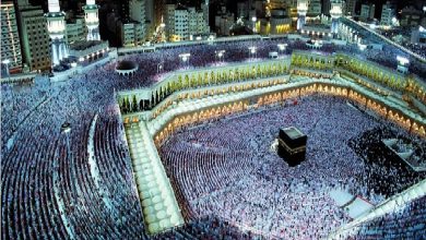 صورة «الداخلية» تصدر قرارات إدارية بحق 11 شخصا لنقلهم 50 مخالفًا لا يحملون تصاريح الحج