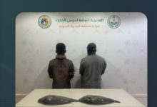 صورة ضبط مقيمين مخالفين للائحة الأمن والسلامة لمزاولي الأنشطة البحرية بمنطقة المدينة المنورة
