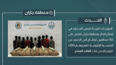 صورة القبض على 10 مخالفين لتهريبهم 200 كيلوجرام من القات المخدر في جازان