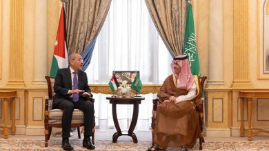 صورة الصفدي وبن فرحان يبحثان تعزيز التعاون وتطوّرات غزة