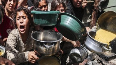 صورة مقرر أممي: توزيع المساعدات في غزة سادي وجريمة أمريكية إسرائيلية تهدف إلى “الإذلال والقتل والتعذيب”