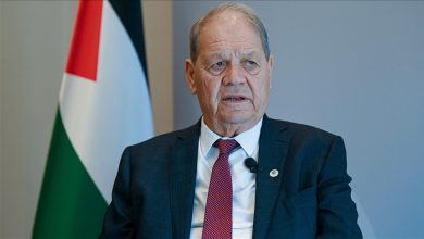 صورة فتوح: “إسرائيل” تهدف عبر عدوانها إلى تقويض الوجود الفلسطيني