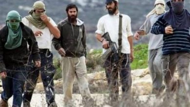 صورة مستعمرون يحرقون مركبات ويخطون شعارات عنصرية في رمون شرق رام الله