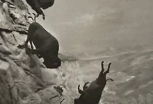 صورة فيلم “Eddington” المثير للجدل سياسيًا بأمريكا يُشعل مهرجان كان السينمائي