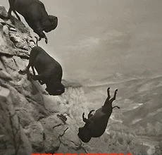 صورة فيلم “Eddington” المثير للجدل سياسيًا بأمريكا يُشعل مهرجان كان السينمائي