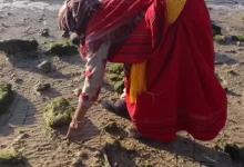 صورة نساء المحار” في تونس يواجهن خطر التغيرات المناخية و”السلطعون الأزرق