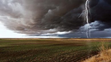 صورة التنبؤ بالعواصف وموجات الحر يتقدم بفضل الذكاء الاصطناعي 