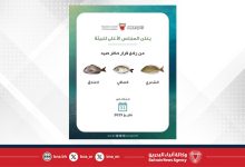 صورة المجلس الأعلى للبيئة يعلن انتهاء فترة حظر صيد أسماك الشعري والصافي والعندق ‎