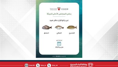 صورة المجلس الأعلى للبيئة يعلن انتهاء فترة حظر صيد أسماك الشعري والصافي والعندق ‎
