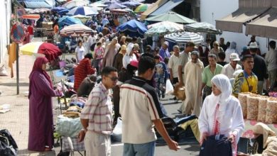 صورة المندوبية السامية للتخطيط تطلق بحثًا جديدًا حول العائلة بعد أول نسخة تم إنجازها سنة 1995