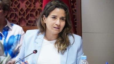 صورة تأخرنا 20 سنة في ملف النجاعة الطاقية رغم أنه الركيزة الثانية في الاستراتيجية الوطنية