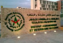 صورة معهد الحسن الثاني للزراعة والبيطرة ضمن تعيينات جديدة صادق عليها مجلس الحكومة