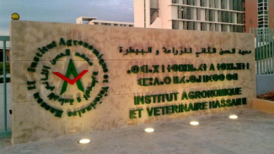 صورة معهد الحسن الثاني للزراعة والبيطرة ضمن تعيينات جديدة صادق عليها مجلس الحكومة