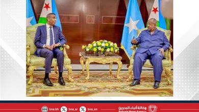 صورة الرئيس الجيبوتي يبحث مع رئيس وزراء الصومال تعزيز علاقات البلدين والقضايا الإقليمية 