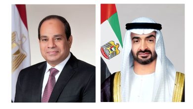 صورة رئيس الدولة والرئيس المصري يبحثان العلاقات الأخوية والتطورات الإقليمية