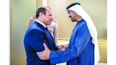صورة رئيس الدولة والرئيس المصري يبحثان تعزيز العلاقات بين البلدين والتطورات الإقليمية           