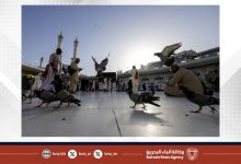 صورة (واس) تخص (بنا) بصورة مميزة من أطهر بقاع الأرض