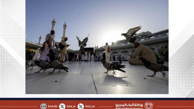 صورة (واس) تخص (بنا) بصورة مميزة من أطهر بقاع الأرض