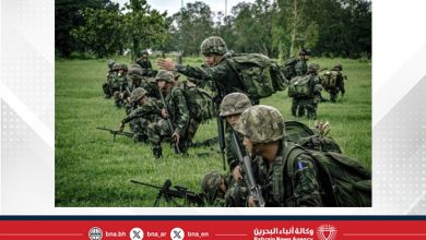 صورة تايلاند تعلن جاهزية جيشها لحماية السيادة مع استمرار النزاع الحدودي مع كمبوديا