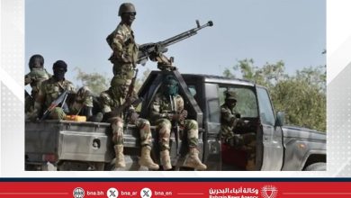 صورة الجيش النيجيري يقضي على 60 إرهابيًا في عمليات بولاية بورنو