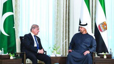 صورة رئيس الدولة ورئيس وزراء باكستان يبحثان علاقات التعاون بين البلدين