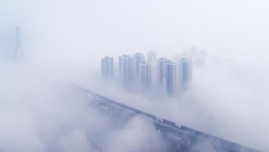 صورة ضباب خفيف على مناطق ساحلية وداخلية حتى الأربعاء