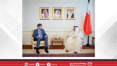 صورة وزير الخارجية يستقبل وفدًا من مجلس النواب الأمريكي