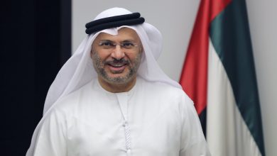 صورة ثقتنا مطلقة في حكمة محمد بن زايد.. والإمارات ستبقى صوت العقل