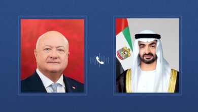 صورة رئيس الدولة ومستشار النمسا يبحثان هاتفياً التطورات الإقليمية