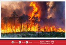صورة اندلاع حرائق غابات جنوبي البلاد وإجلاء سكان مناطق متضررة