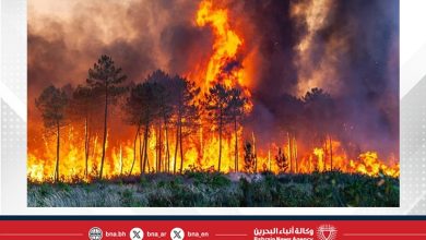 صورة اندلاع حرائق غابات جنوبي البلاد وإجلاء سكان مناطق متضررة