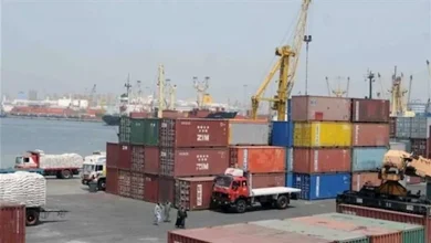 صورة منها أرز بسمتي.. العامة للخدمات الحكومية تعلن بيع كبير بالمزاد العلني