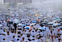صورة آخر موعد لتقديم الأضحية.. وسبب تسمية أيام التشريق