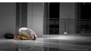 صورة متى يبدأ وينتهي وقت صلاة الضحى؟.. الإفتاء توضح