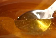 صورة ملعقة واحدة من العسل قبل النوم تفعل العجب بجسمك.. تناولها فوراً