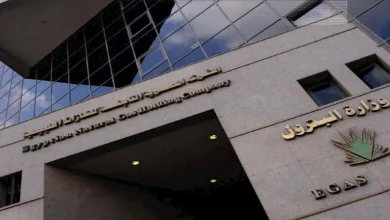 صورة “إيجاس” تسند 6 قطاعات جديدة للبحث عن الغاز باستثمارات 245 مليون دولار