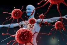 صورة مشروبات تحافظ على جهازك المناعي.. احرص عليها