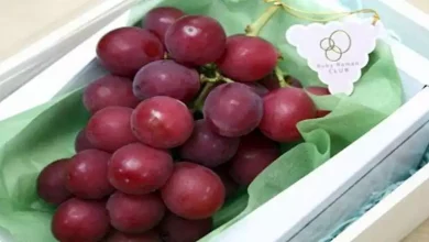 صورة 5 فوائد لتناول “العنب الأحمر” على صحة مرضي السكري
